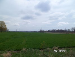 13167421