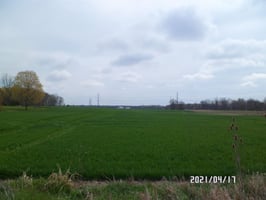 13167425