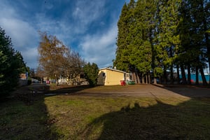13306076