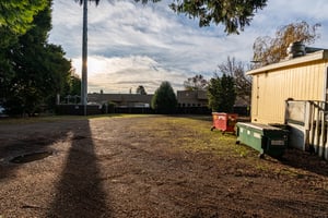 13306078