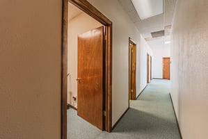 13250907