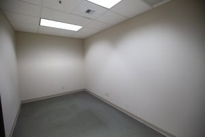15372172