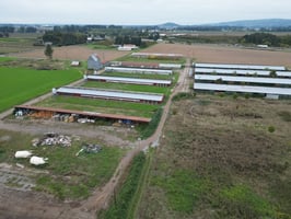 34156283