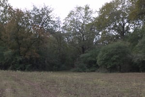 14620936