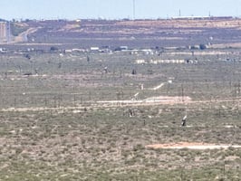 13528526