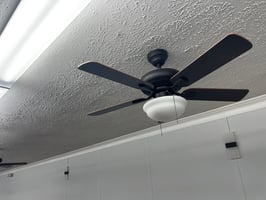 13535543