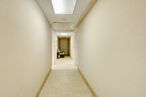 13646461