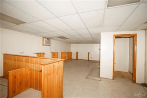 13658126