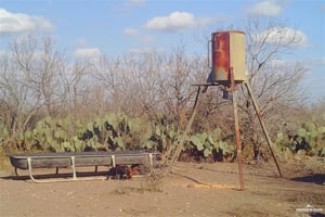 29954330