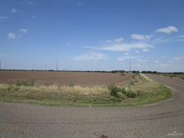 13676657