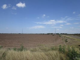 13676653