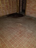 13693646