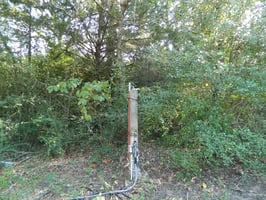 13694245