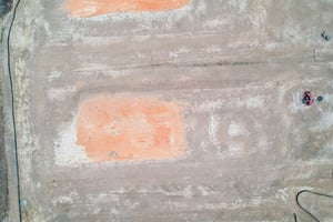 13732509
