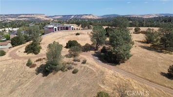 27069368