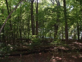 13897370