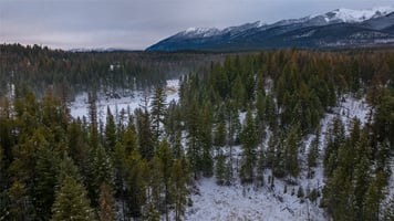 17292560