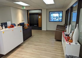29552081