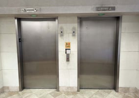 29552079