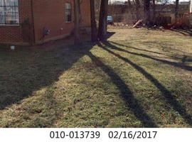 22109816
