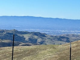 14625504