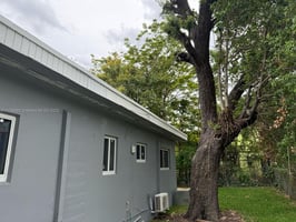22513550