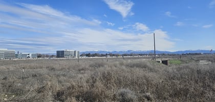15616323