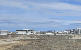 15616318