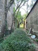 14659354