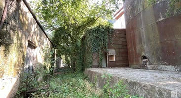 31481782