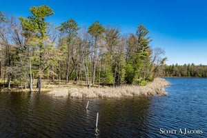 14831702