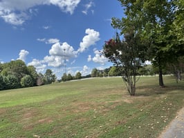 26406763