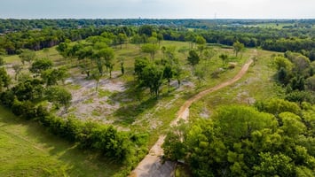 15013821