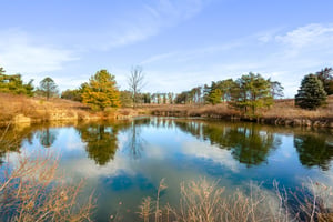 15059076