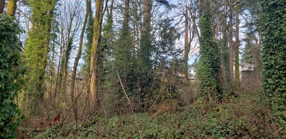 30860449
