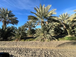 15143835