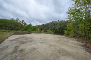 15161674