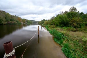 15161653