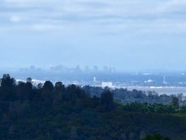 15201296