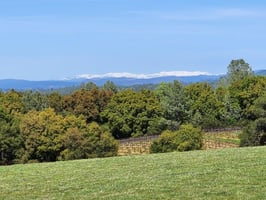 15201316
