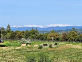 15201300