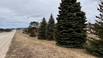 15204588