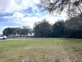 15209545
