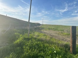 15294542