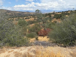 27069384