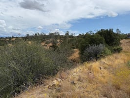 27069385