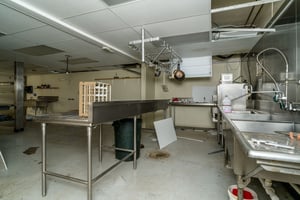 20461092