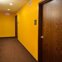 15372883