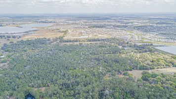 15466584
