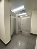 32782049
